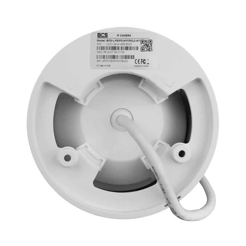 L-PEIP2X4FCR2L2-Ai1_f