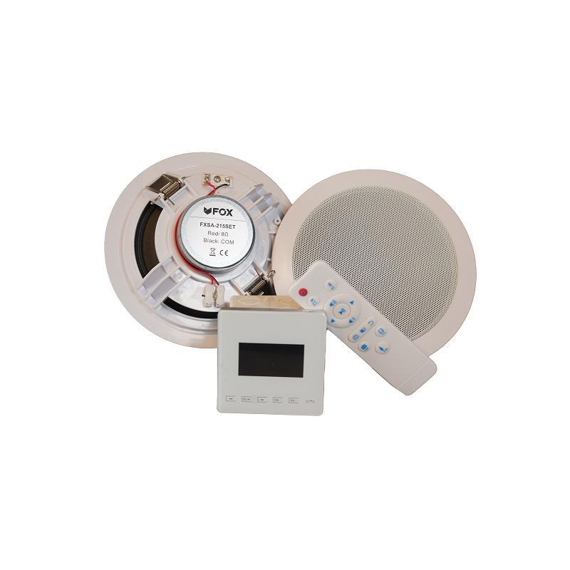 AMPLIFICADOR DE PAREDE USB MICRO SD RADIO FM 15W